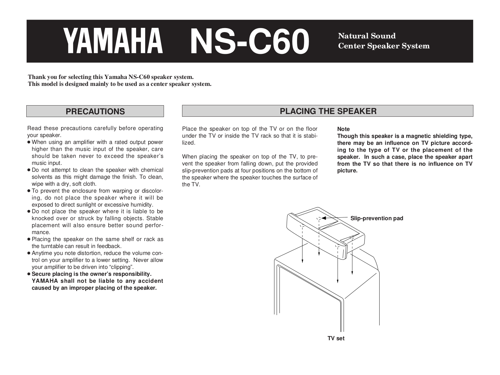 Yamaha ns-1000 manuals