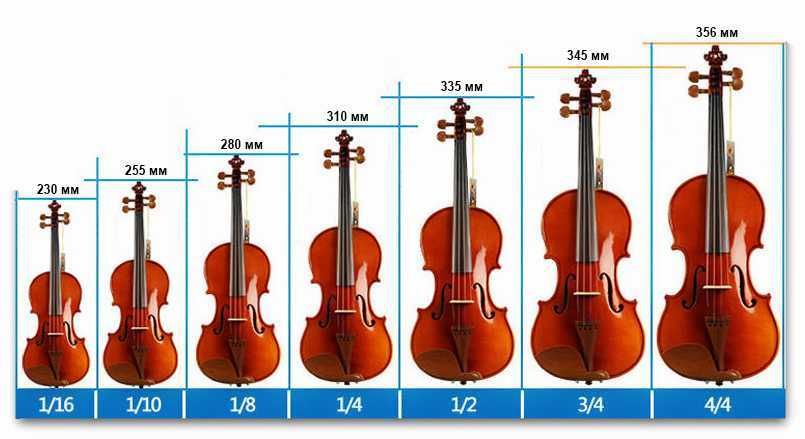 Как выбрать первую скрипку?