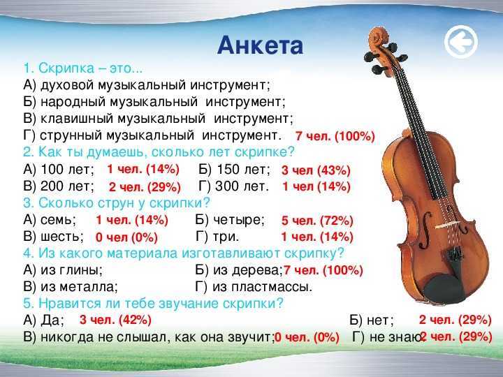 Как выбрать скрипку новичку - всё-легко.ру