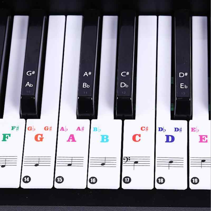 В данной статье поднимем вопрос: виды механизмов клавиатуры цифровых пианино