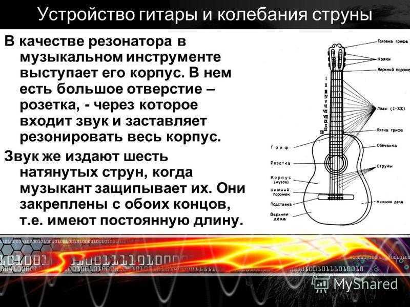 ​азы акустики для чайников: типы акустического оформления колонок • stereo.ru