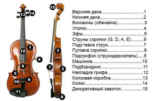 Наша статья поможет выбрать размер скрипки, который подойдет именно вам