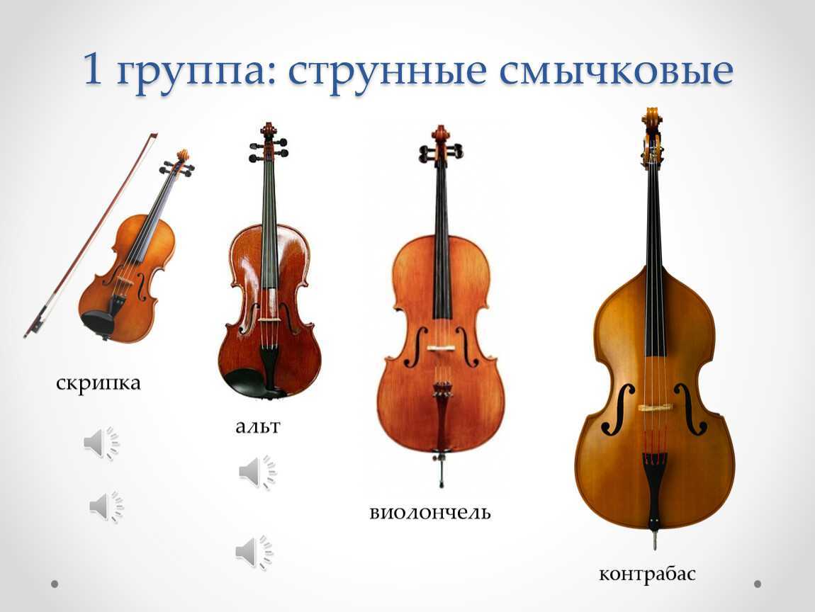 Какие инструменты входят в состав симфонического оркестра | блог dominantamusic