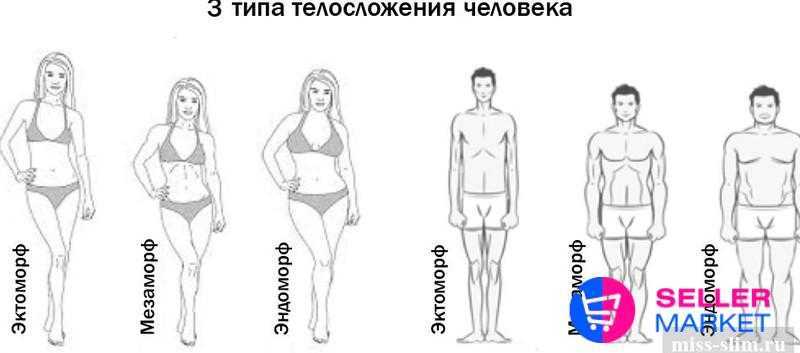 Как определить тип телосложения?