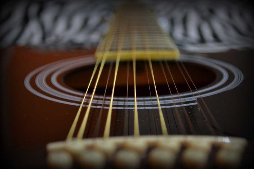 Виды гитар. примеры с описанием и фотографиями всех видов гитар