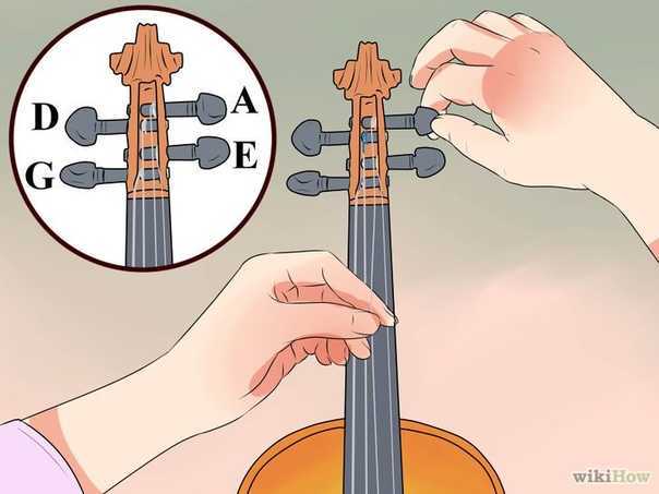 Как выбрать скрипку. на что обратить внимание новичку