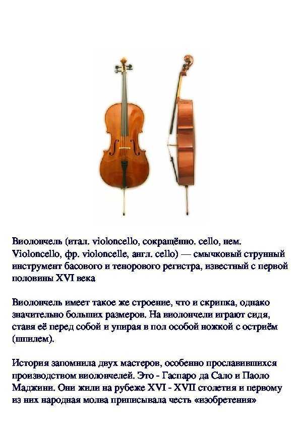 Как выбрать виолончель: советы профессионала