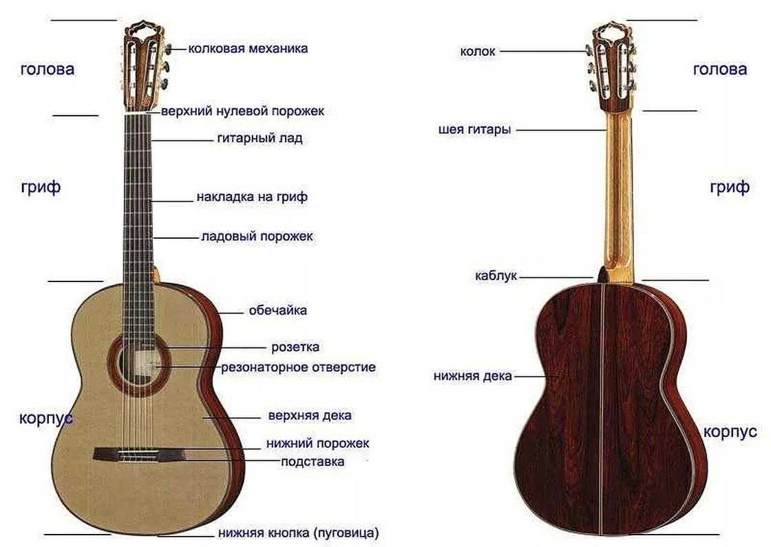 Наша статья расскажет вам выборе классической гитары, ее особенностях и размерах