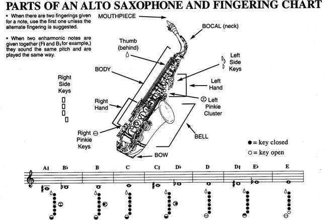 Как выбрать саксофон?