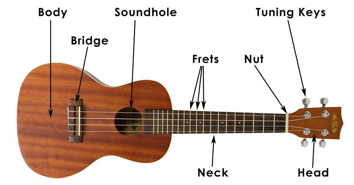 Все основные аккорды для миниатюрной гитары укулеле