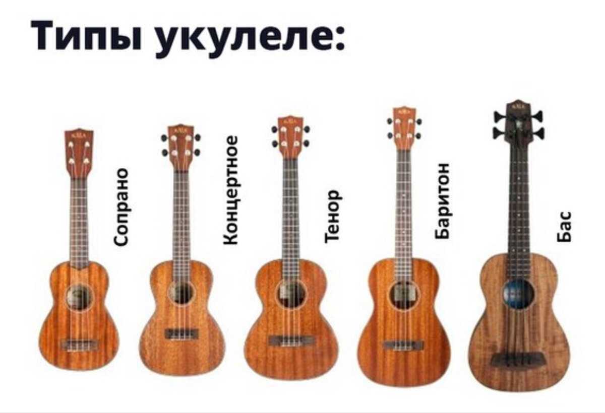 Как выбрать размер классической гитары