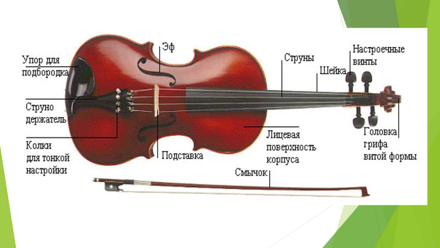Как выбрать виолончель для обучения ребенку - статьи от легато