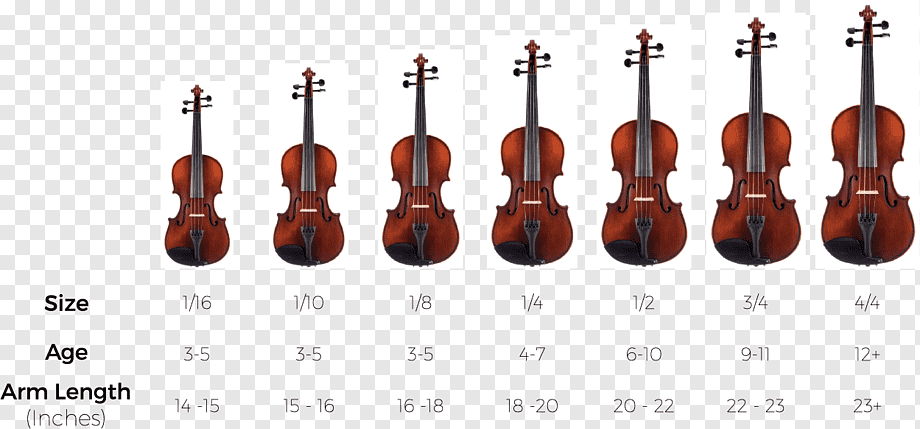 Интересные факты про виолончель | vivareit