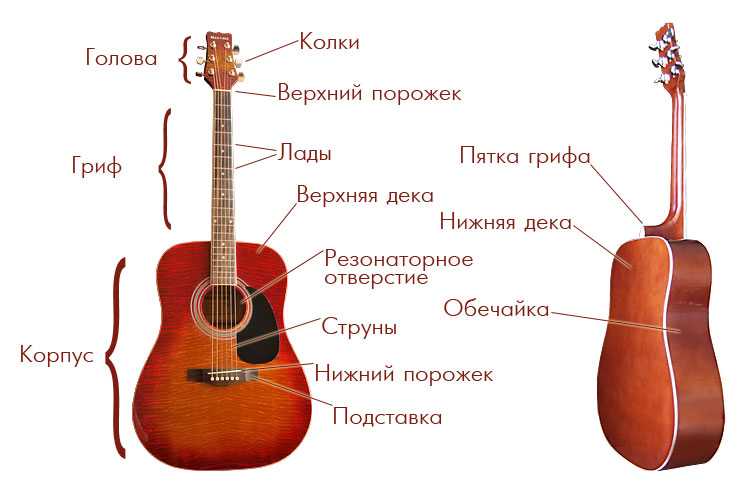 Акустическая гитара: описание, устройство, отличие от классической