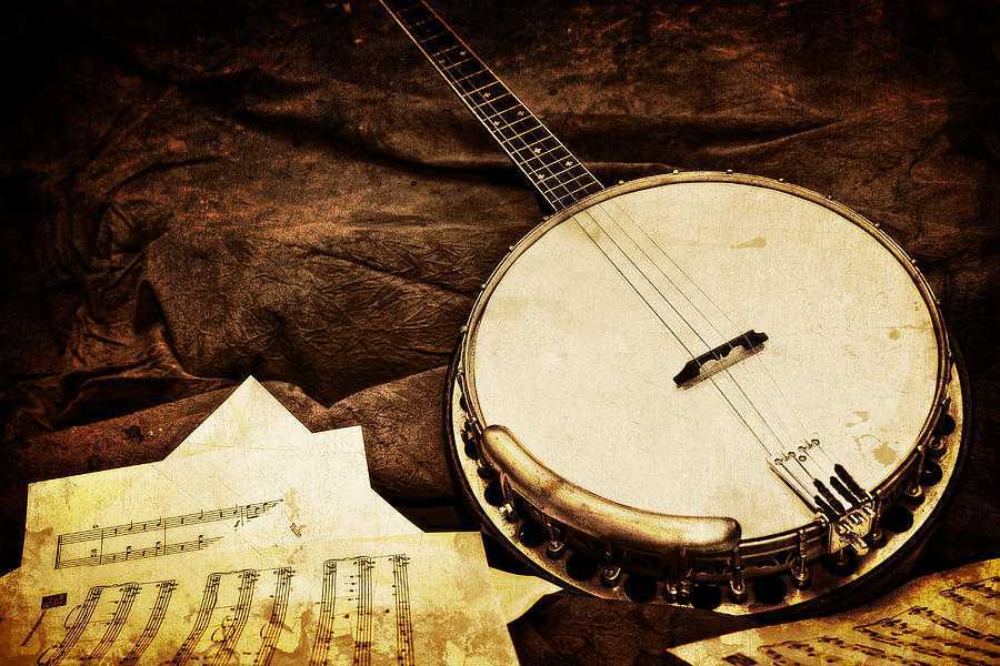 Банджо: устройство инструмента, история происхождения, разновидности, техника игры