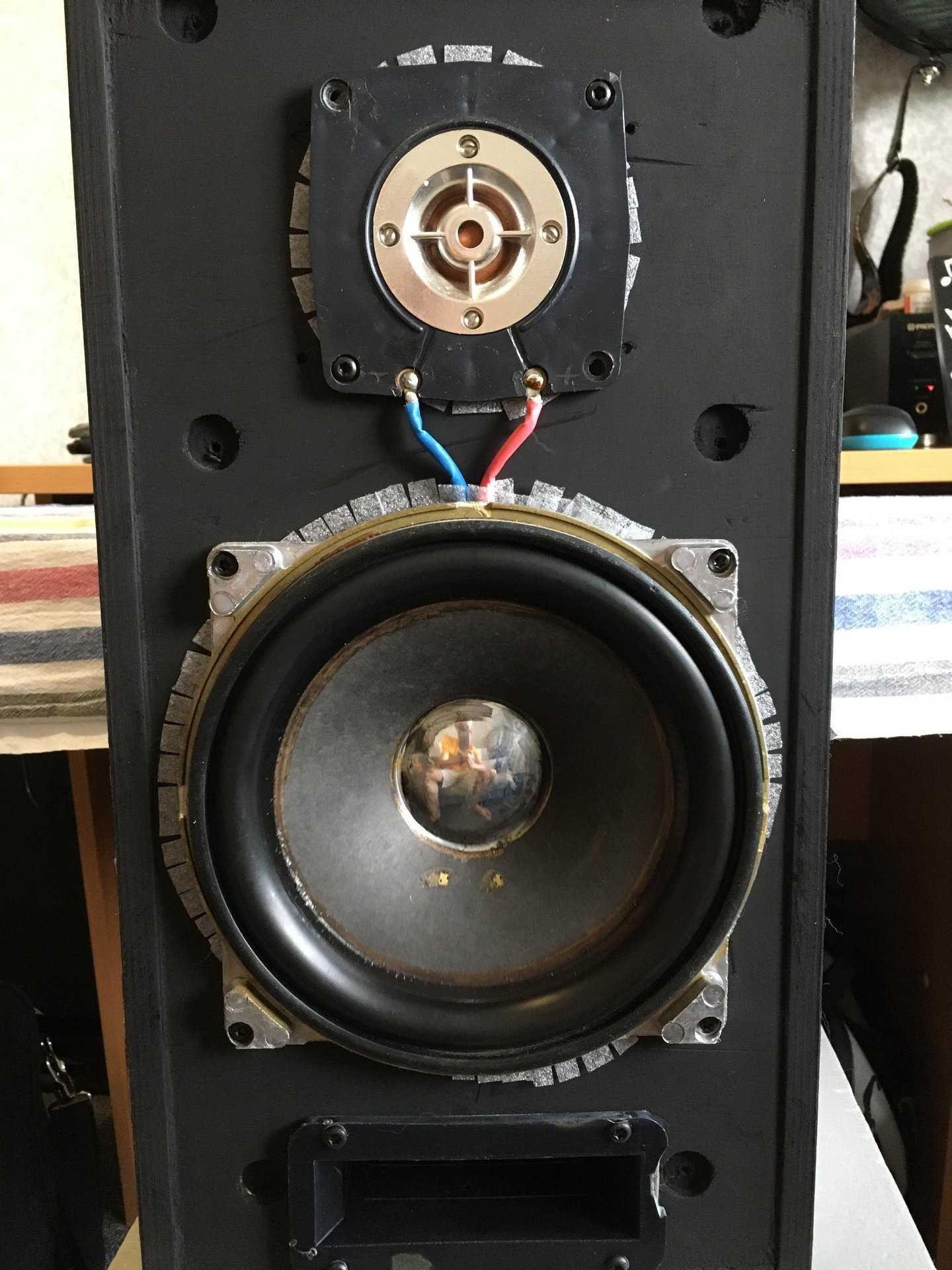 Доработка акустической системы 25ас-309
