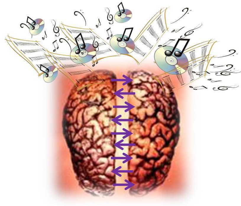 Влияние музыки на мозг человека: факты, исследования и теории, дофамин