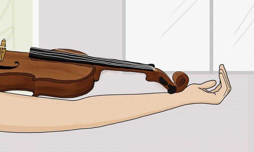 Размеры скрипки: как правильно подобрать? - parentchild.ru