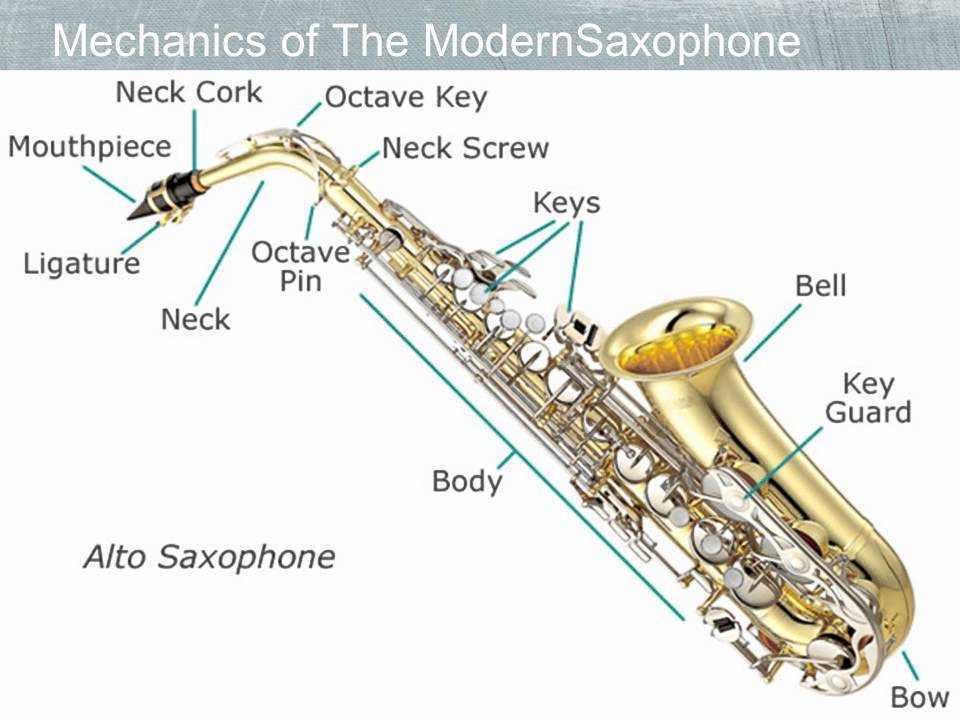 Как появился саксофон, почему его изобретателя чуть не отдали под суд и другие факты про инструмент, который исцеляет души