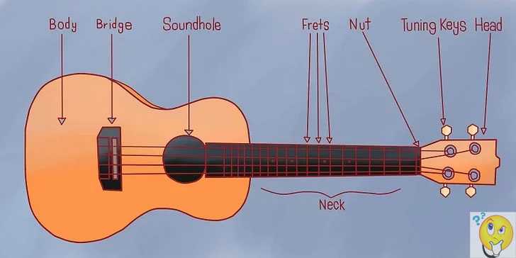 Как научиться играть на укулеле