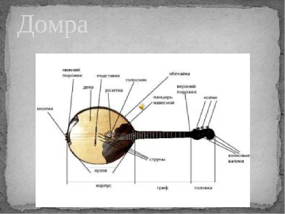 История создания домры. домра — музыкальный инструмент — история, фото, видео