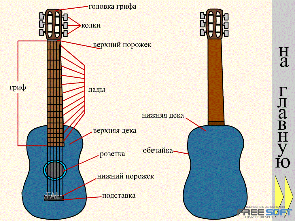Обзор популярных акустических гитар для профессионалов