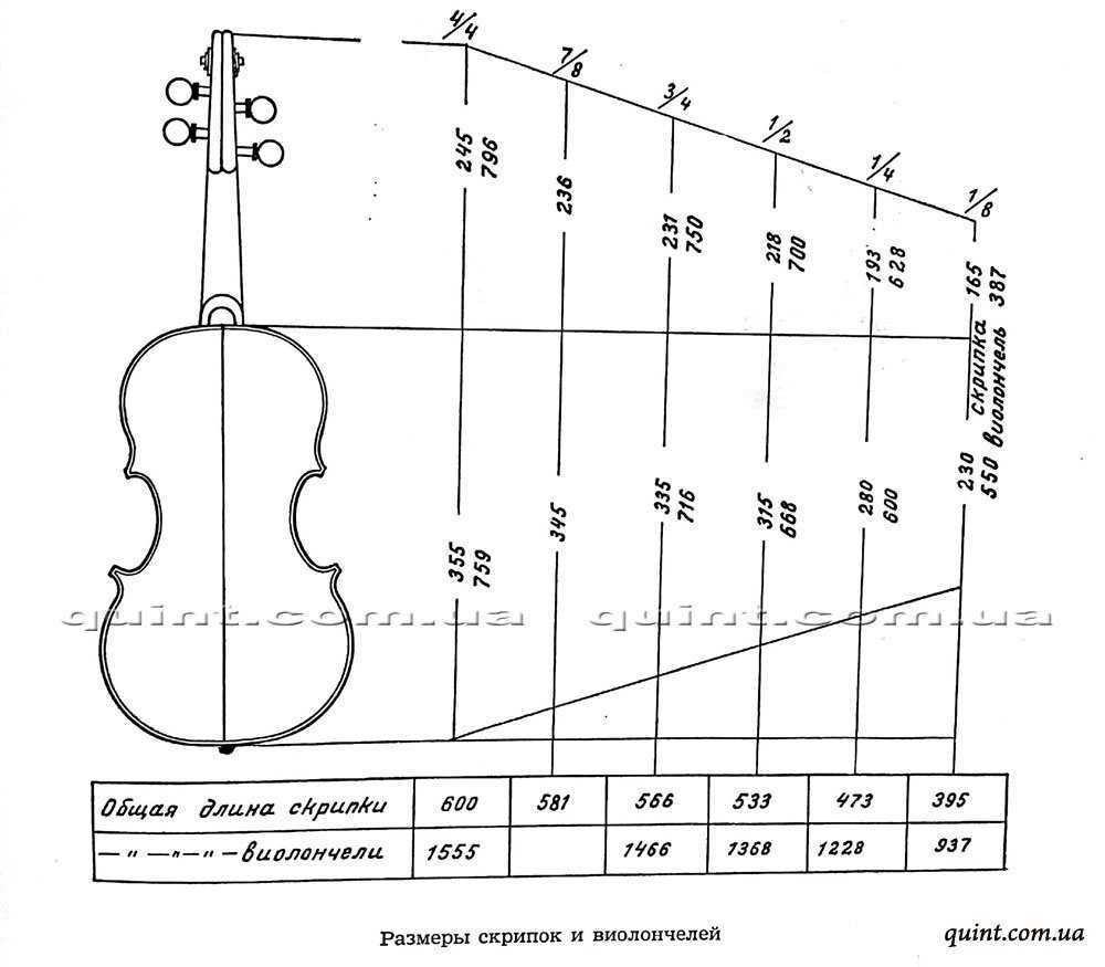 Размеры скрипок – что значат, как определить размер скрипки, таблица. виды скрипок - какие бывают.