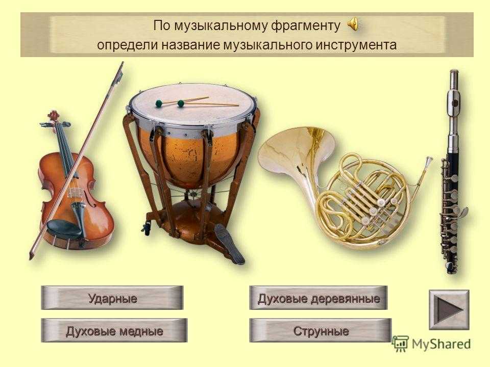 Статья: Какой музыкальный инструмент подойдет вашему ребенку