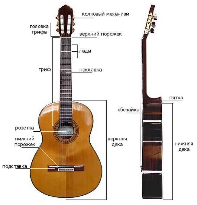 Гитара для начинающих - какую выбрать гитару новичку