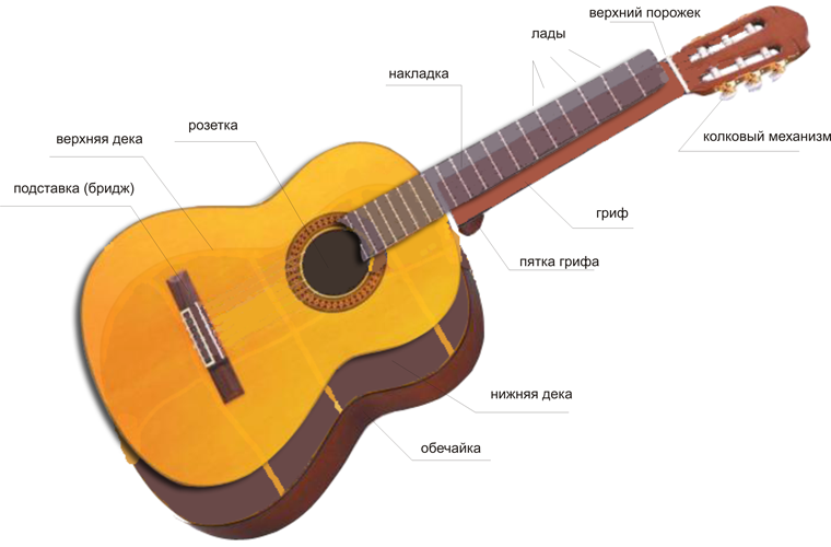 Как правильно выбрать гитару – рекомендации и советы