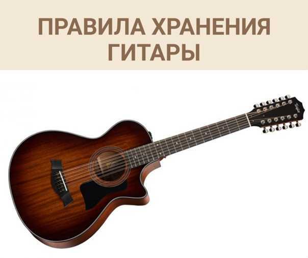 Данная статья расскажет вам о том как подобрать чехол для вашей гитары