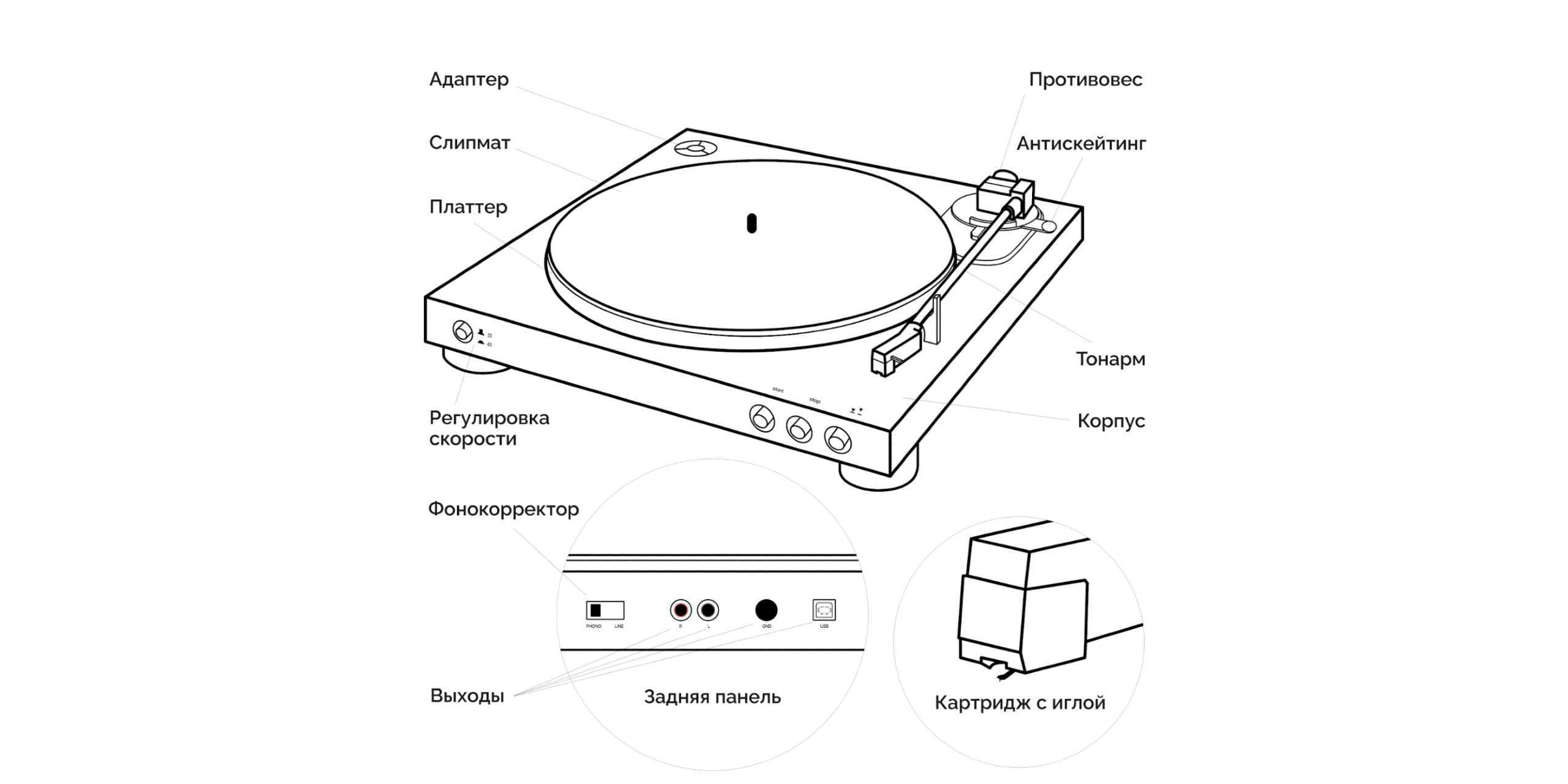Как слушать виниловые пластинки в 2k21 | appleinsider.ru
