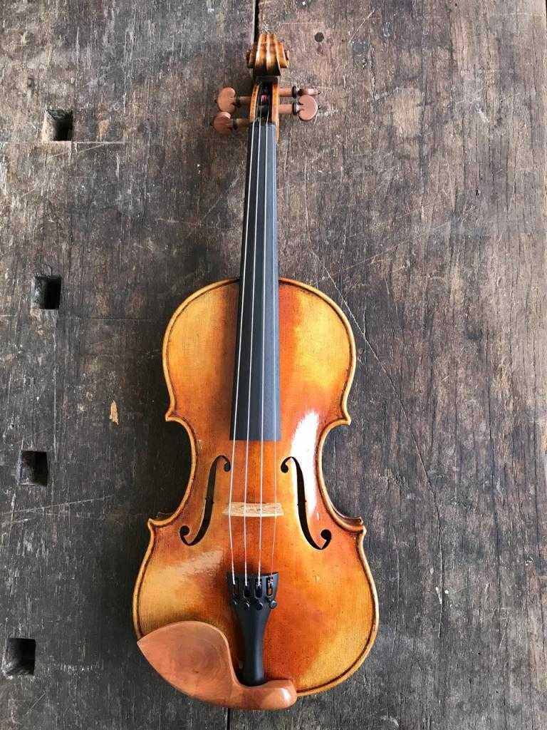 Данная статья поможет вам выбрать скрипку