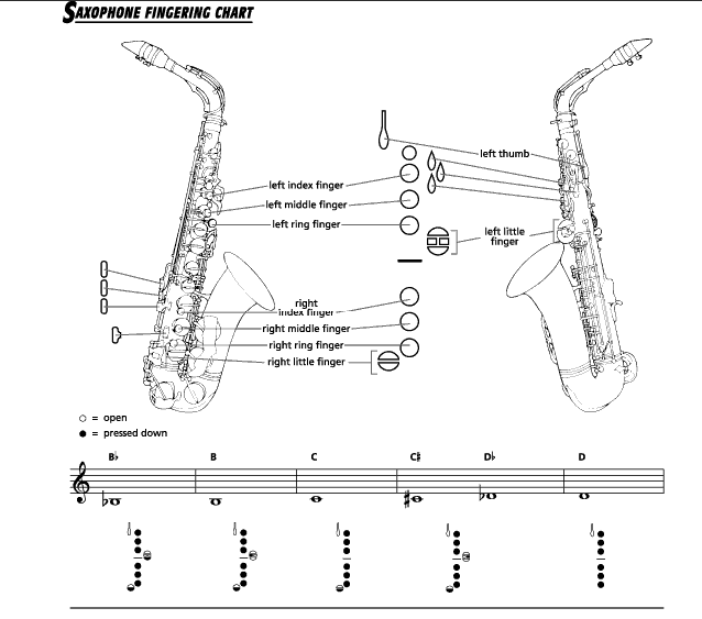Саксофон - духовой музыкальный инструмент, история, строение, виды, приёмы игры