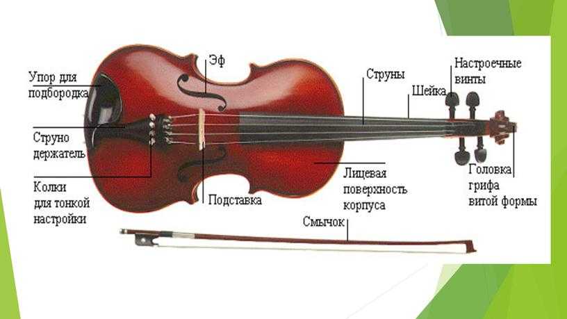Размеры скрипок - как подобрать размер скрипки