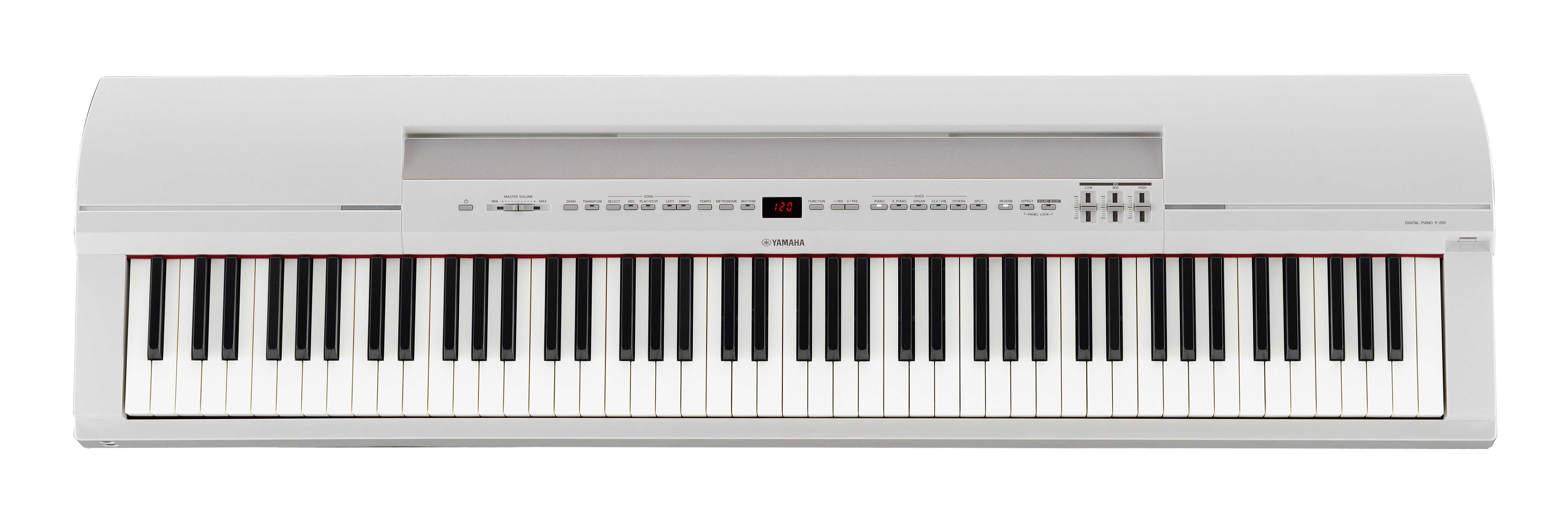 Чем отличается синтезатор от цифрового электронного пианино, что лучше в чем разница