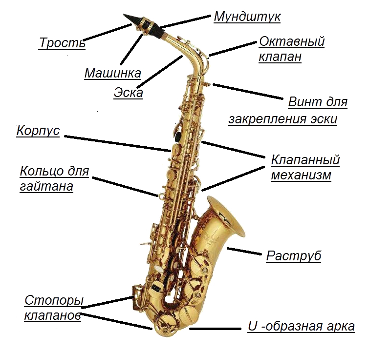 22 самых известных саксофониста в истории / искусство | thpanorama - сделайте себя лучше уже сегодня!